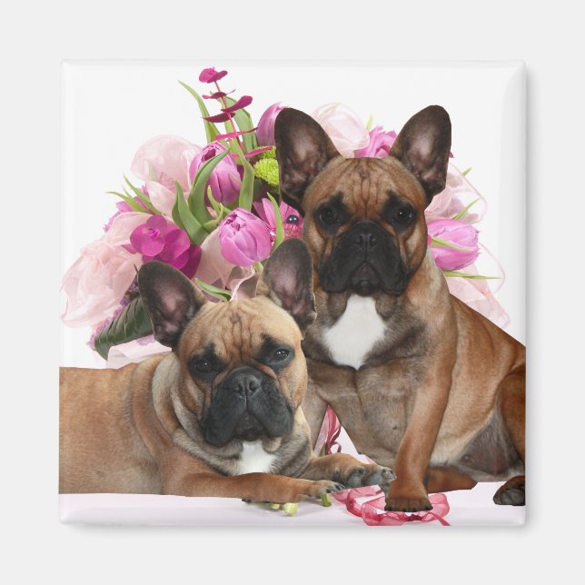 Französische Bulldogge Blumen French Bulldog Feier Magnet (Framsidan)