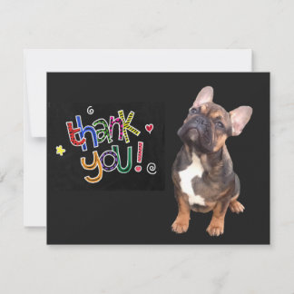 Französische Bulldogge Danke Inbjudningar