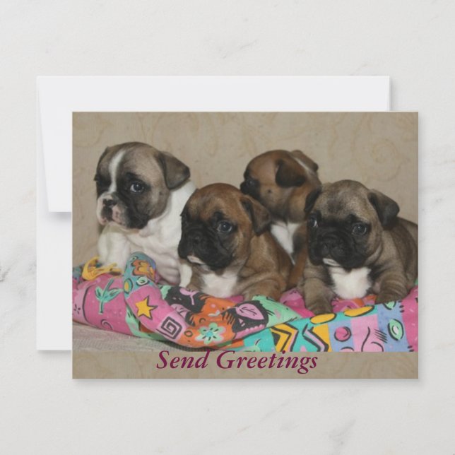 Französische Bulldogge Frohe Weihnachten Inbjudningar (Framsida)
