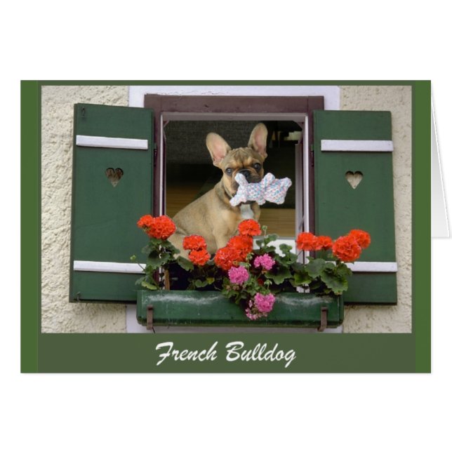 Französische Bulldogge Grußkarte Hälsningskort (Framsidan Horizontal)