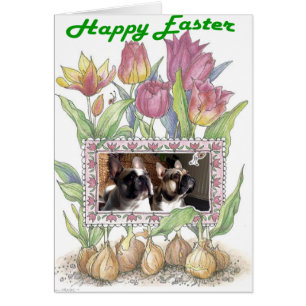 Französische Bulldogge Grußkarte Ostern Hälsningskort