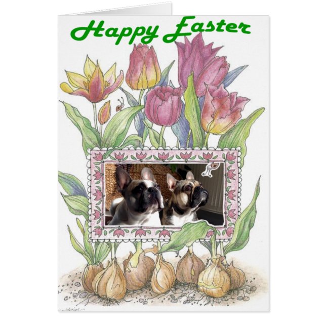 Französische Bulldogge Grußkarte Ostern Hälsningskort (Framsidan)