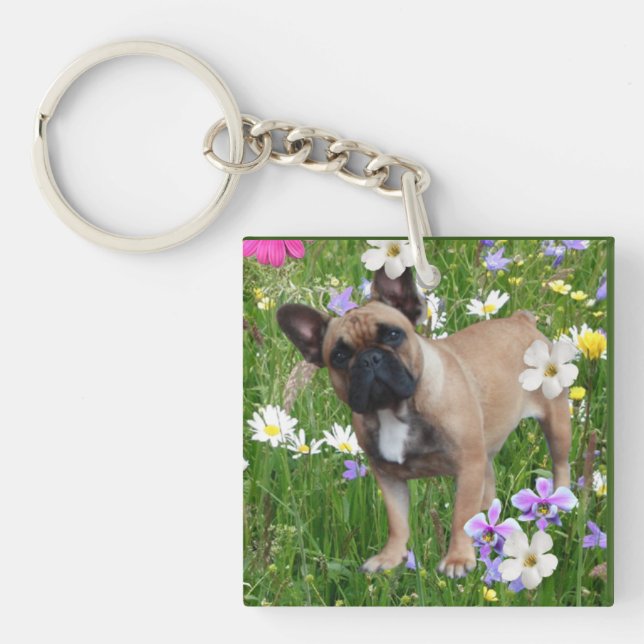 Französische Bulldogge Happy Day French Bulldog (Framsidan)