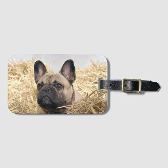Französische Bulldogge im Stroh French Bulldog  Bagagebricka (Framsida horisontal)