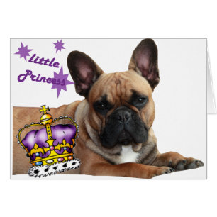 Französische Bulldogge Karte Hälsningskort