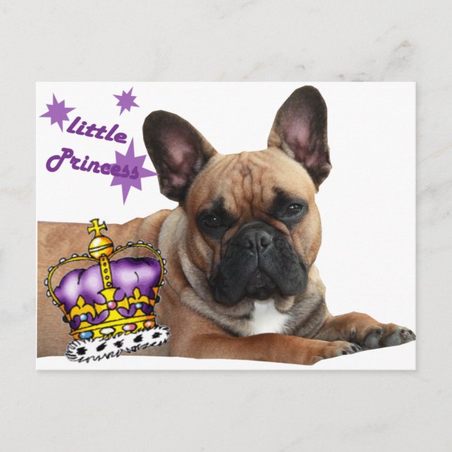Französische Bulldogge Karte Vykort (Framsida)