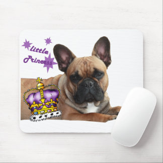 französische Bulldogge kleine Prinzessin Musmatta