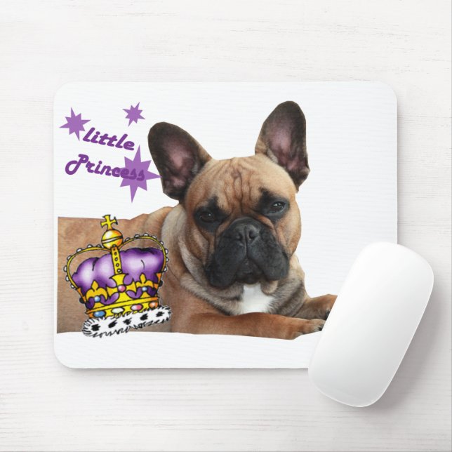 französische Bulldogge kleine Prinzessin Musmatta (Med mus)