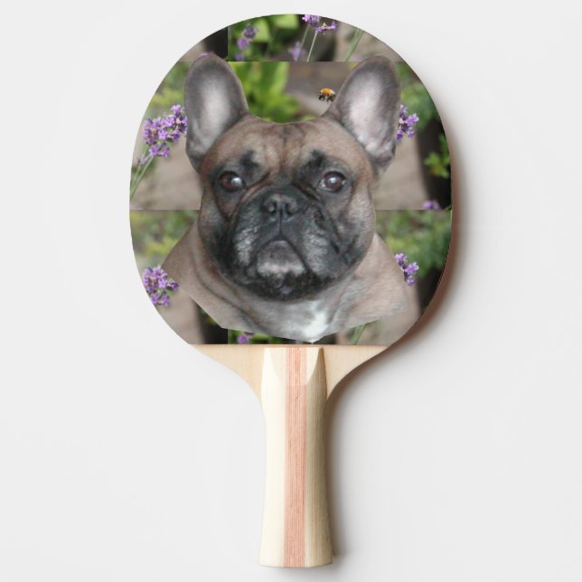 Französische Bulldogge mit Biene French Bulldog Pingisracket (Framsidan)