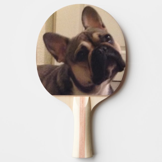 Französische Bulldogge Pingisracket (Framsidan)