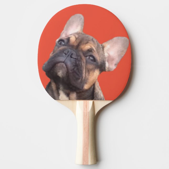 Französische Bulldogge Pingisracket (Framsidan)