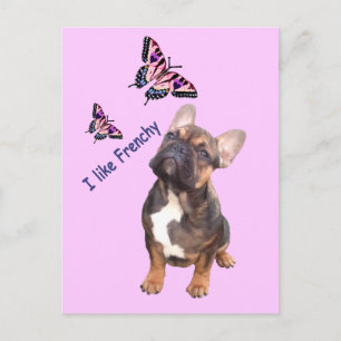 Französische Bulldogge Postkarte Vykort