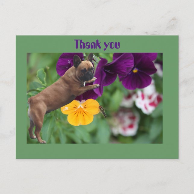 Französische Bulldogge Postkarte Vykort (Framsida)