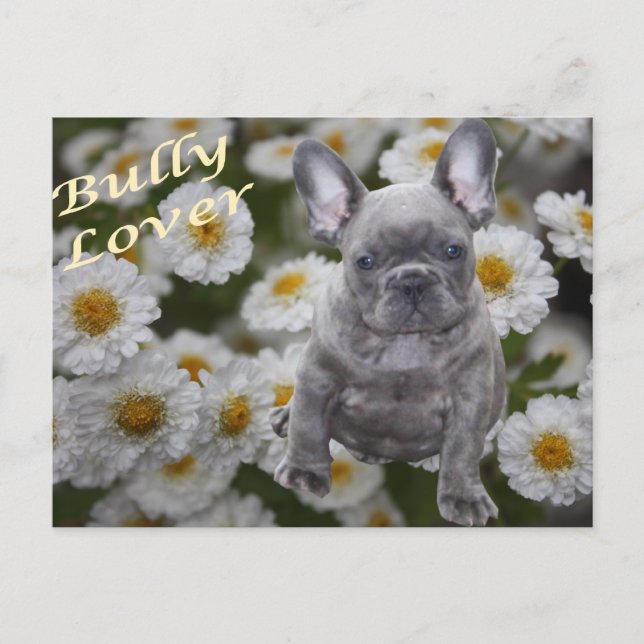 Französische Bulldogge Postkarte Vykort (Framsida)