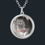 Französische Bulldogge Silverpläterat Halsband<br><div class="desc">Modehund,  Französische Bulldogge,  Welpe,  Haustier,  Hund,  Welpen,  Tier,  Hunde,  Bulldog,  Bulldogge,  french bulldog,  pets,  dogs,  puppies,  dog,  französische Bulldogge,  bulldog,  puppy,  dog fashion,  pet</div>