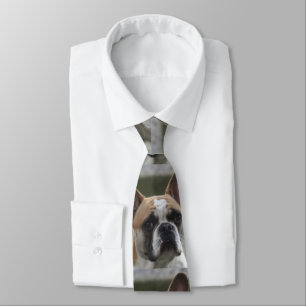 Französische Bulldogge Slips