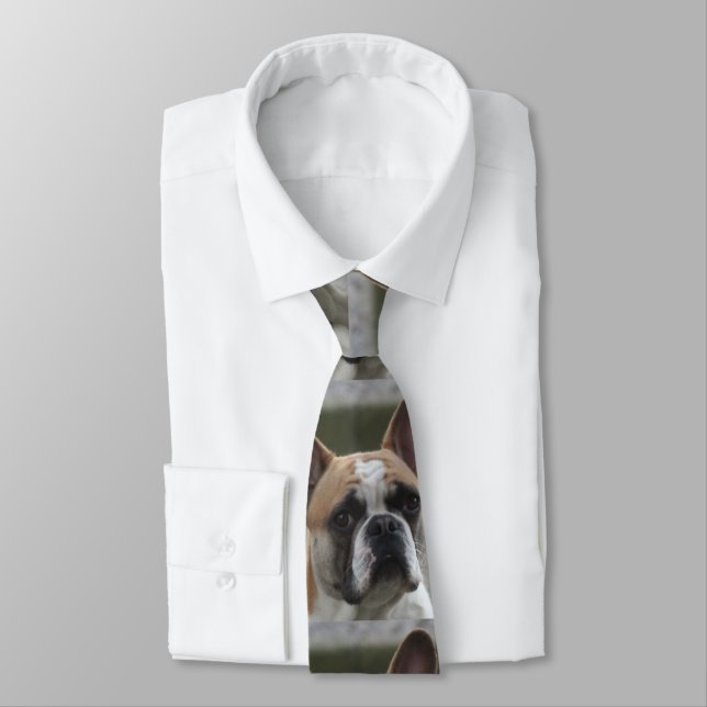 Französische Bulldogge Slips (Bunden)