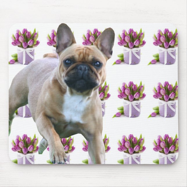 Französische Bulldogge Sprung French Bulldog Musmatta (Framsidan)