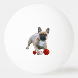 Französische Bulldogge Sprung French Bulldog  Pingisboll