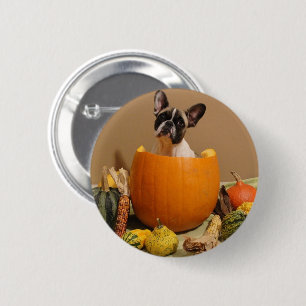 Französische-Bulldogge Sticker Button Halloween Knapp