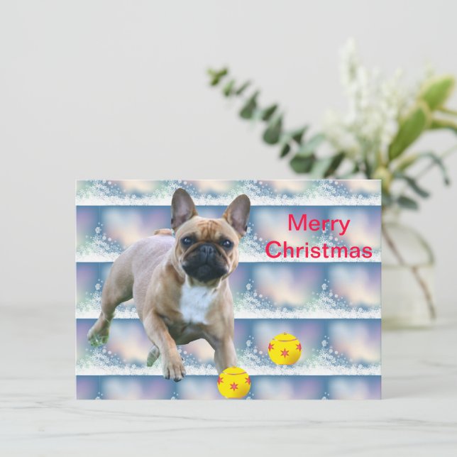 Französische Bulldogge  Weihnachten French Bulldog Spara Datumet (Stående Fram)