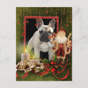 Französische Bulldogge Weihnachtskarte Vykort