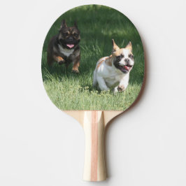 Französische Bulldogge Wettrennen French Bulldog Pingisracket