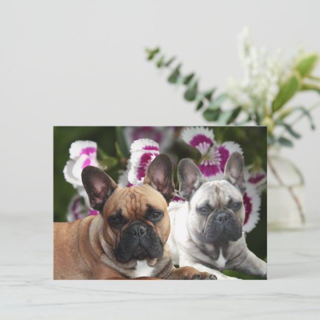 Französische Bulldogge zwei Freunde French Bulldog Inbjudningar (Stående Fram)
