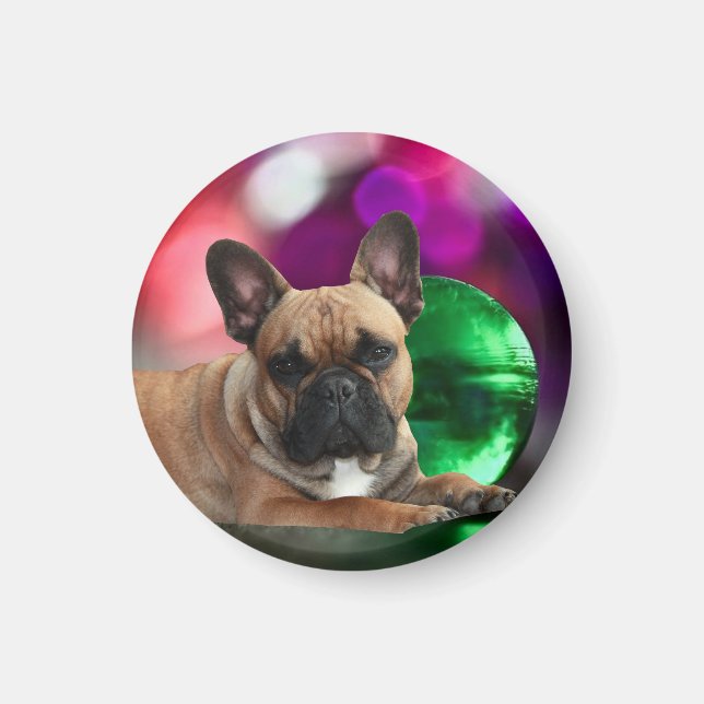 Französische Bulldoggen farbig French bulldog Magnet (Framsidan)