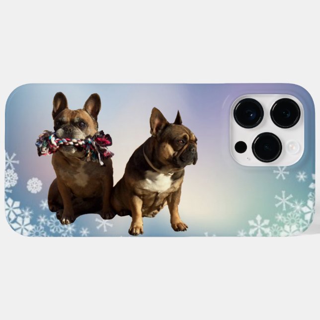 Französische Bulldoggen Freundschaft (Baksida (horisontell))