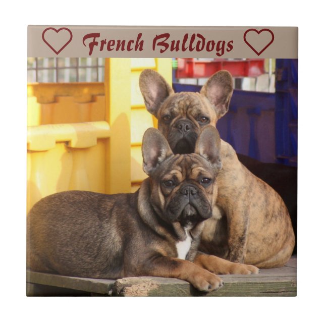 Französische Bulldoggen Friends French Bulldog Kakelplatta (Framsidan)