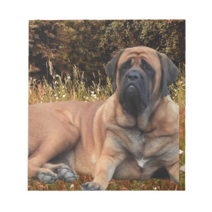 Französische Bulldoggen Mastiff Notizblock Anteckningsblock
