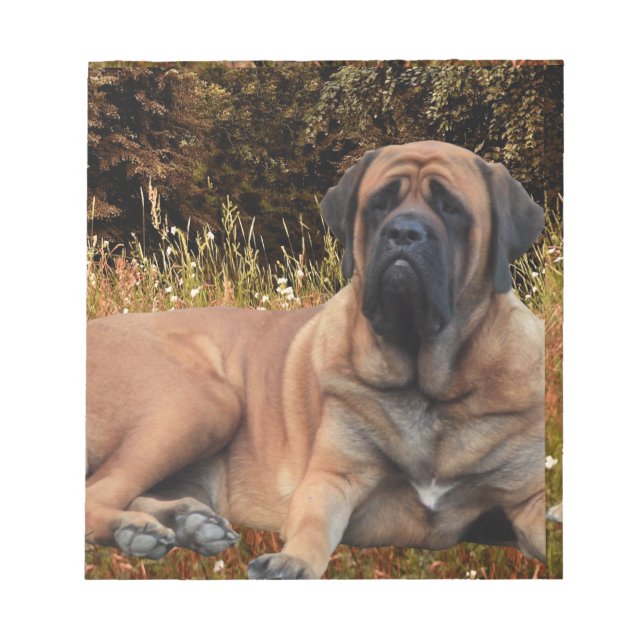 Französische Bulldoggen Mastiff Notizblock Anteckningsblock (Framsida)