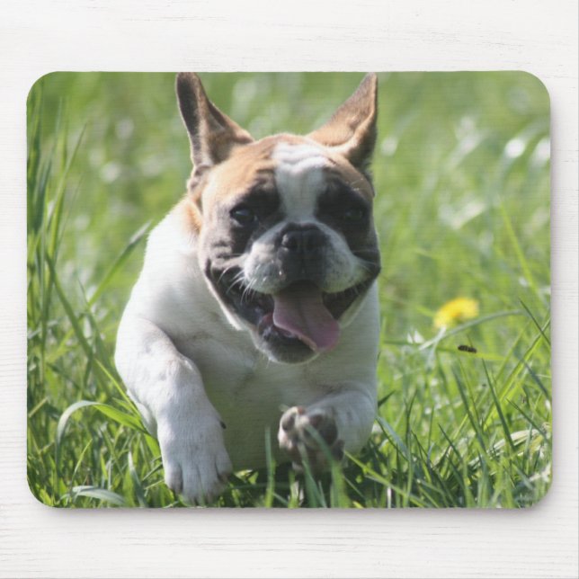 Französische Bulldoggen Mousepad Musmatta (Framsidan)
