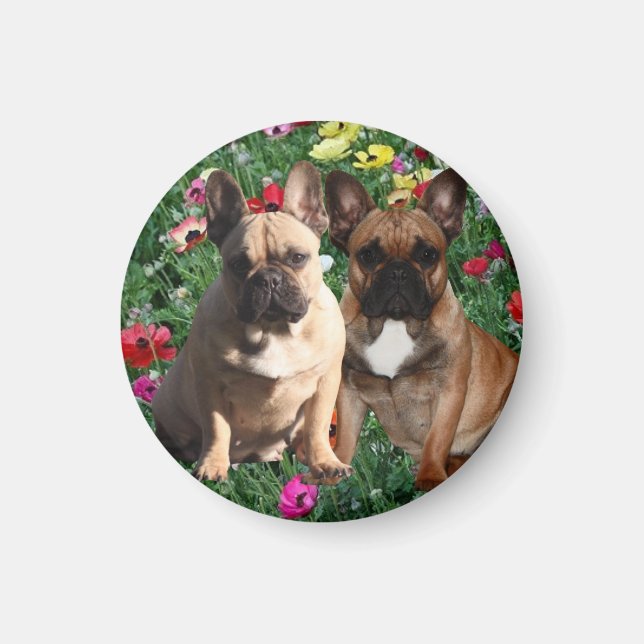Französische Bulldoggen Ostern French Bulldog Magnet (Framsidan)