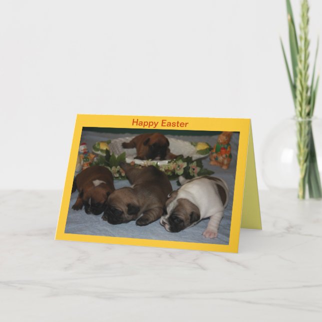 Französische Bulldoggen Postkarte Ostern Helgkort (Framsida)