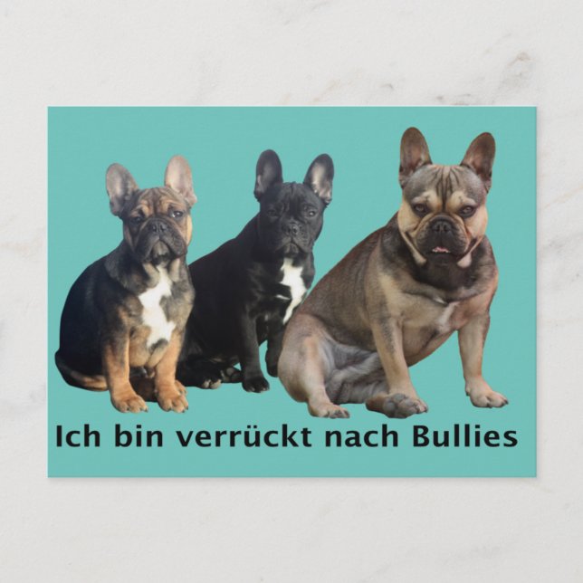 Französische Bulldoggen Postkarte Vykort (Framsida)