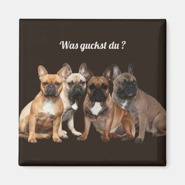 Französische Bulldoggen var guckst du, Magnet (Framsidan)
