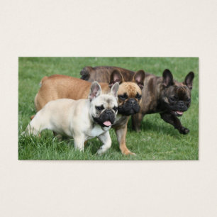 Französische Bulldoggen Visitenkarte Visitkort