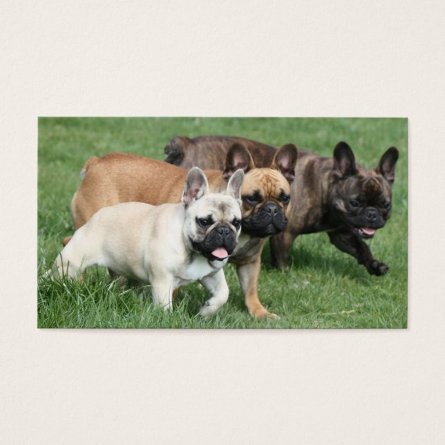 Französische Bulldoggen Visitenkarte Visitkort (Framsidan)