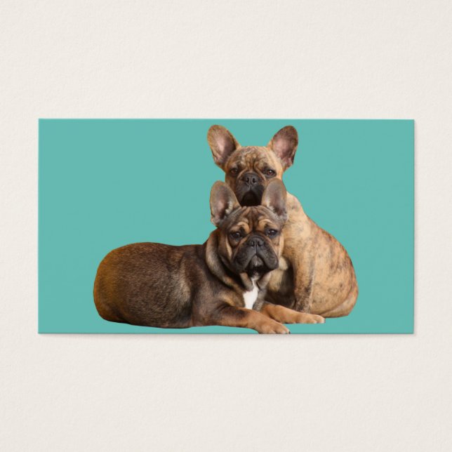 Französische Bulldoggen Visitenkarten Visitkort (Framsidan)