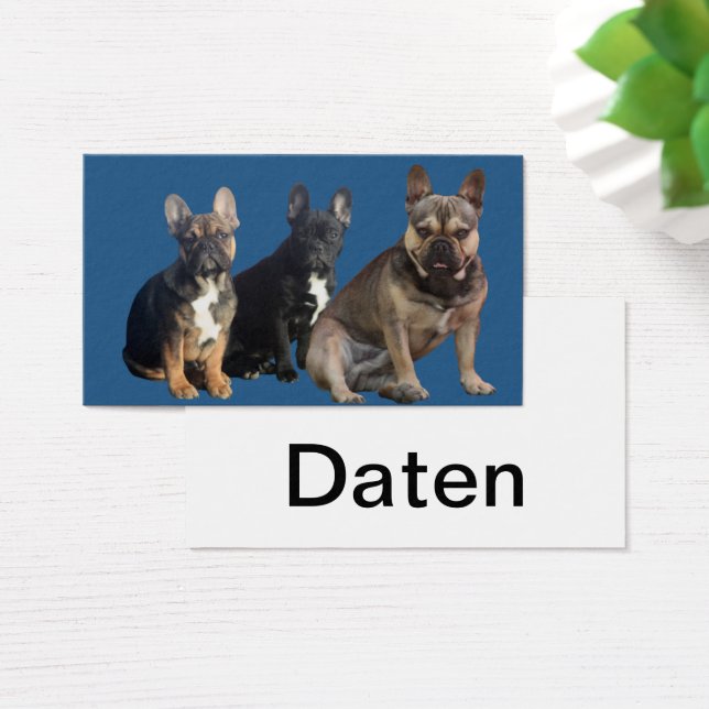 Französische Bulldoggen Visitenkarten Visitkort (Skivbord)