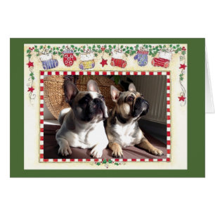 Französische Bulldoggen Weihnachts Grußkarte Hälsningskort
