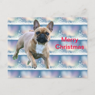 Französische Bulldoggen Weihnachtskarte Helg Vykort