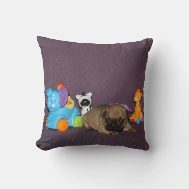 Französischen Bulldoggen kleiner Welpe Bulldog Kudde (Framsida)