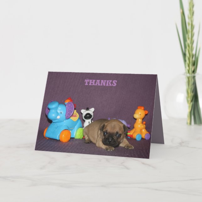 Französischen Bulldoggen kleiner Welpe Bulldog Tack Kort (Framsida)