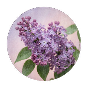 Fräscha lila syrenblommor vårens blomsterprakt