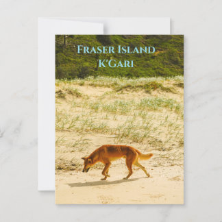 Fraser Island/K'Gari Postcard Vykort