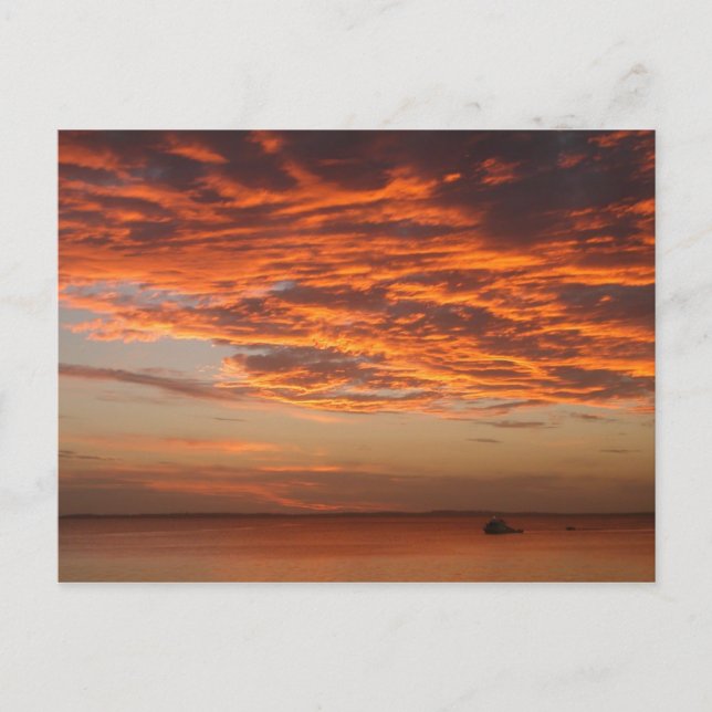 Fraser Island Sunset Vykort (Framsida)