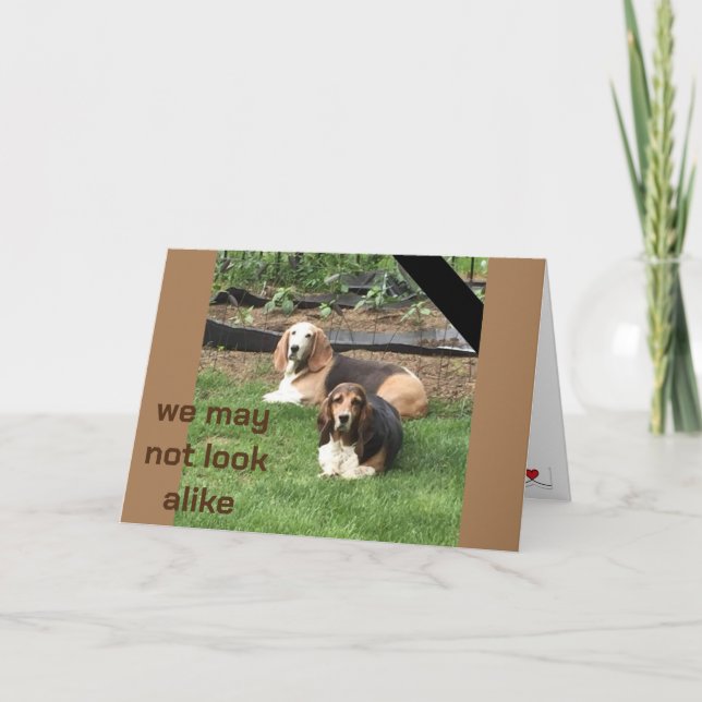 **FRATERNAL TWIN** PÅ VÅR FÖDELSEDAG KORT (Framsida)